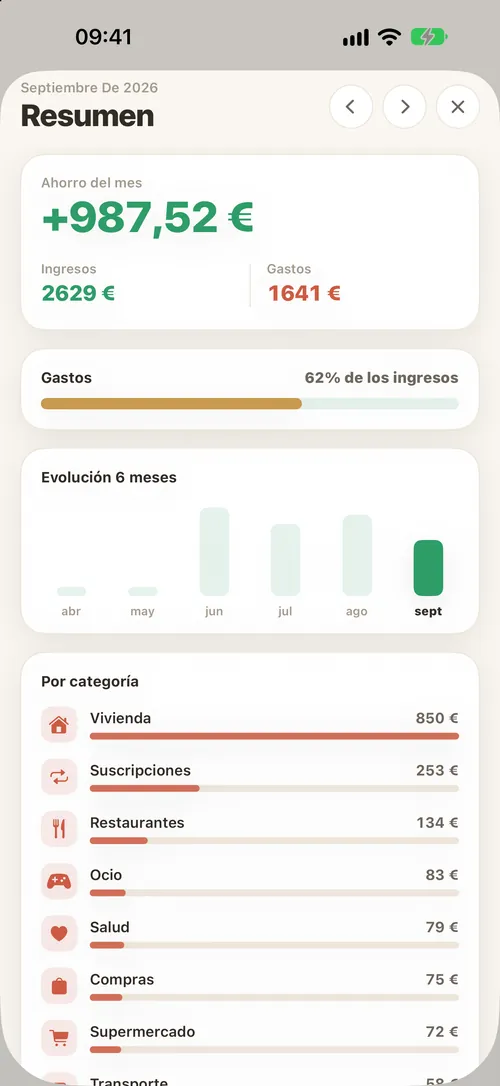 El resumen de ingresos y gastos agrupados por categoría.